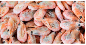 fresh catch frozen prawns