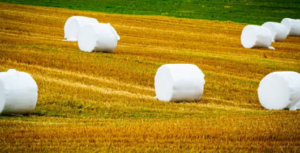 net replacement film supplier