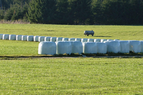bale wrap